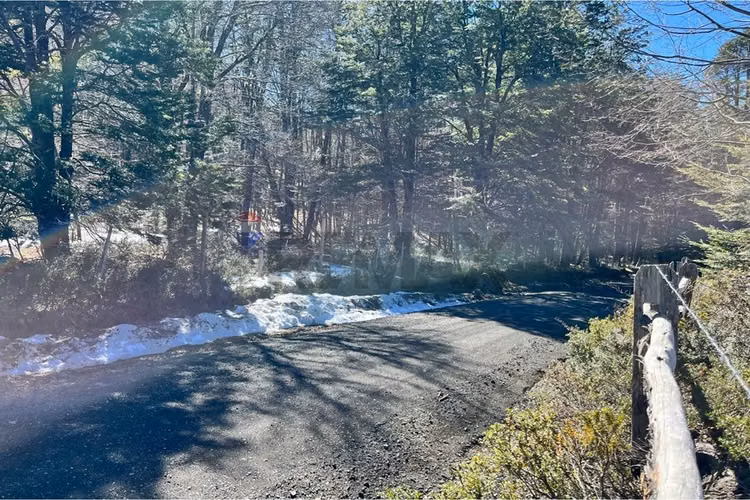 Parcela en venta - bosque palguín - pucón - Imagen 21
