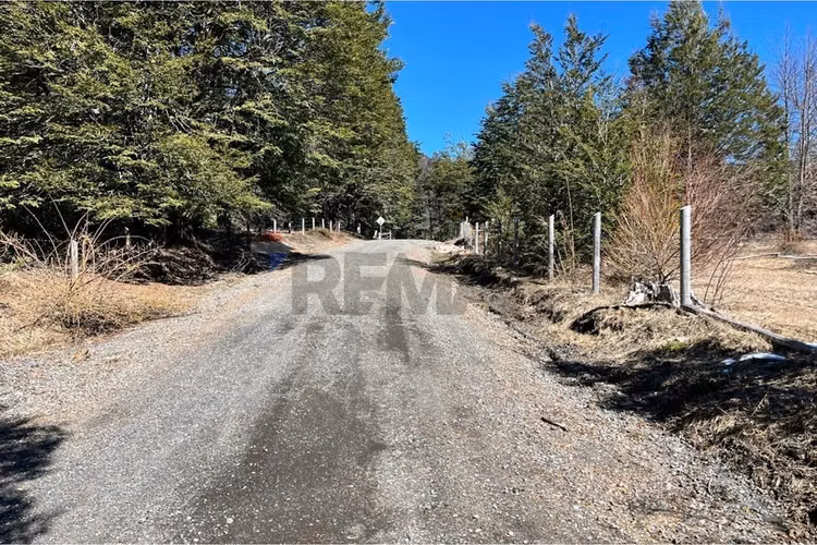 Parcela en venta - bosque palguín - pucón - Imagen 3