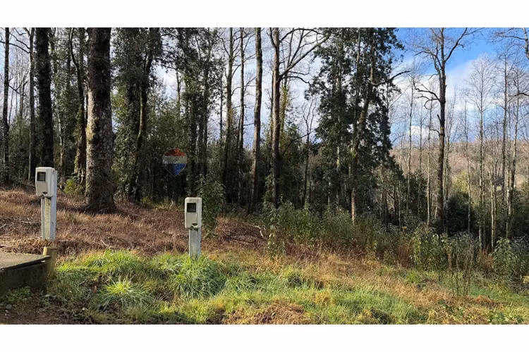 Venta parcela reserva nativa pedregoso, villarrica - Imagen 11