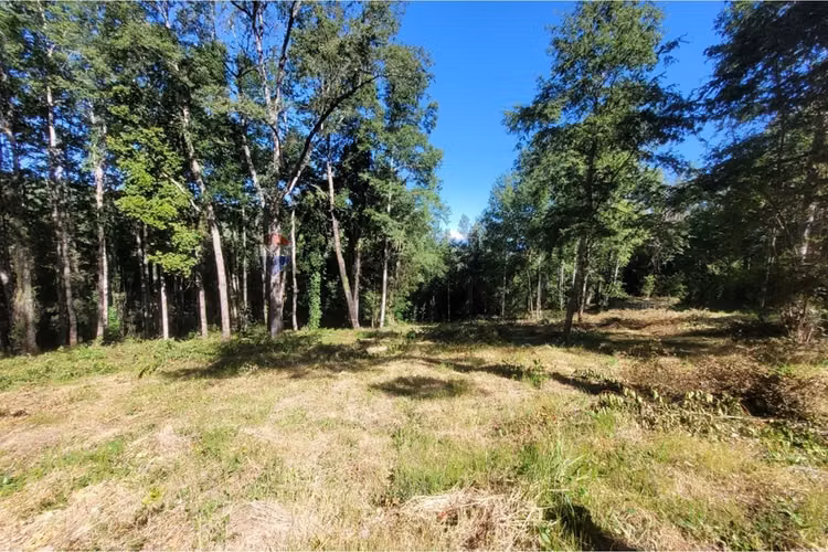 Venta parcela reserva nativa pedregoso, villarrica - Imagen 4