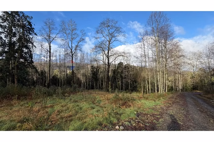 Venta parcela reserva nativa pedregoso, villarrica - Imagen 6