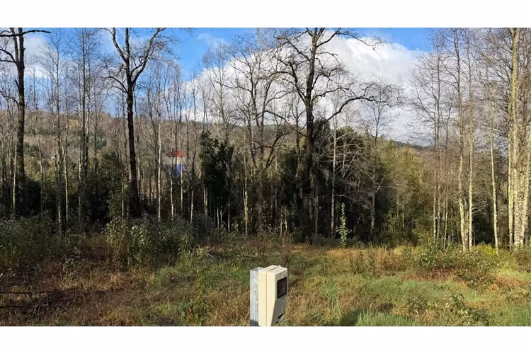 Venta parcela reserva nativa pedregoso, villarrica - Imagen 12