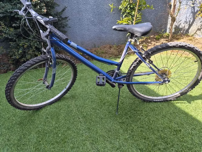 Bicicleta - Imagen 2