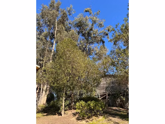 Se vende terreno en El TABO - Imagen 5