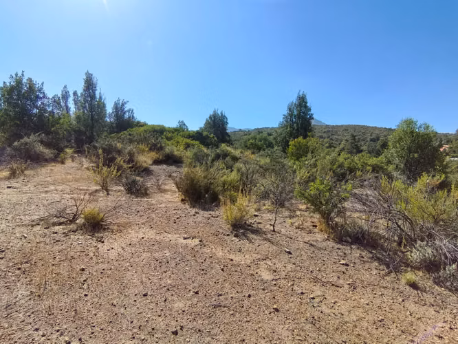  Se vende parcela de 4 hectáreas en el Llano de Caleu – entorno natural privilegiado
