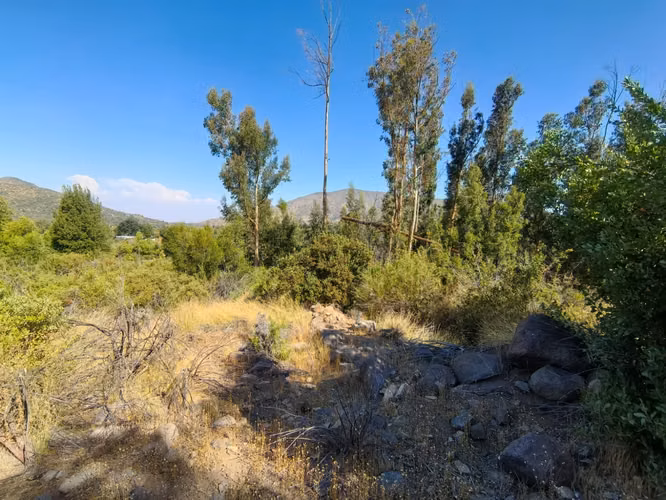  Se vende parcela de 4 hectáreas en el Llano de Caleu – entorno natural privilegiado