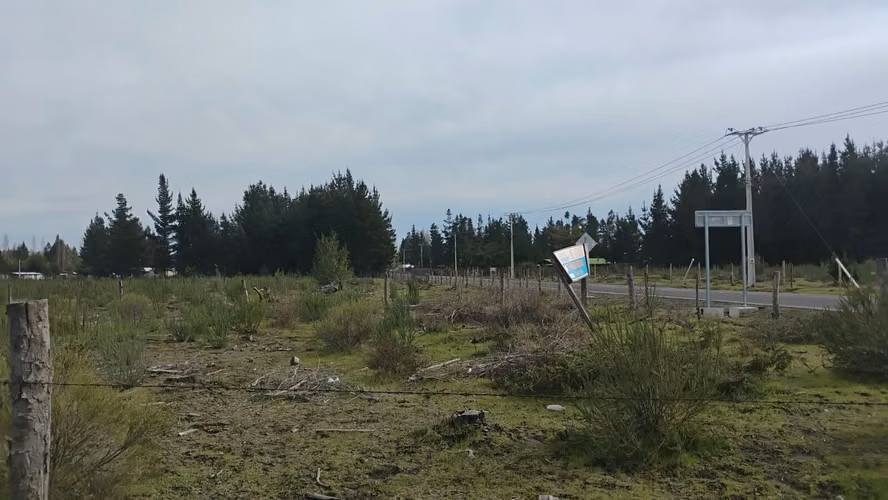 PARCELAS PLANAS EN YUNGAY REGION DE ÑUBLE - Imagen 9