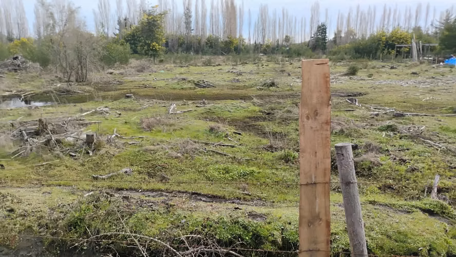 PARCELAS PLANAS EN YUNGAY REGION DE ÑUBLE - Imagen 3