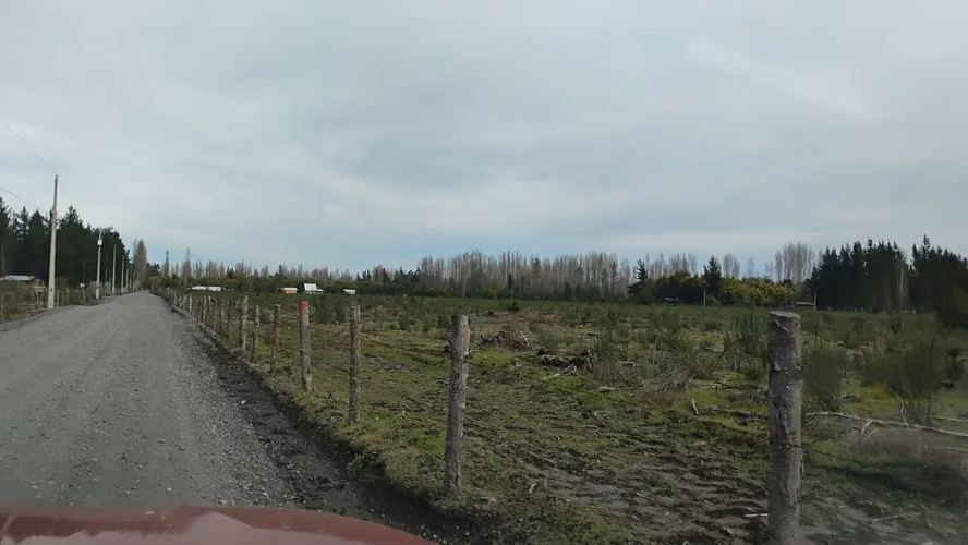 PARCELAS PLANAS EN YUNGAY REGION DE ÑUBLE - Imagen 6