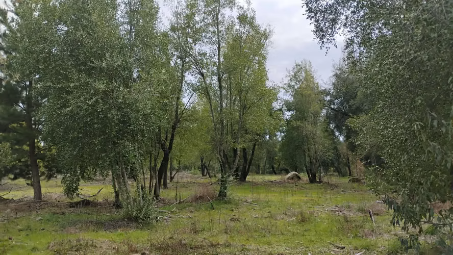 PARCELAS CON ORILLA DE RIO EN YUNGAY - Imagen 28