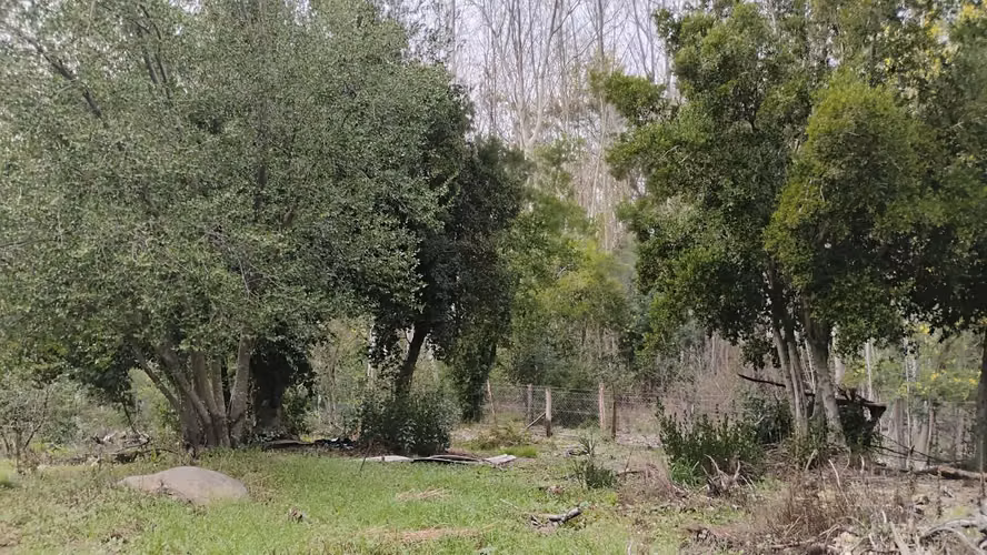 PARCELAS CON ORILLA DE RIO EN YUNGAY - Imagen 29