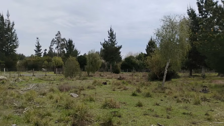 PARCELAS CON ORILLA DE RIO EN YUNGAY - Imagen 8