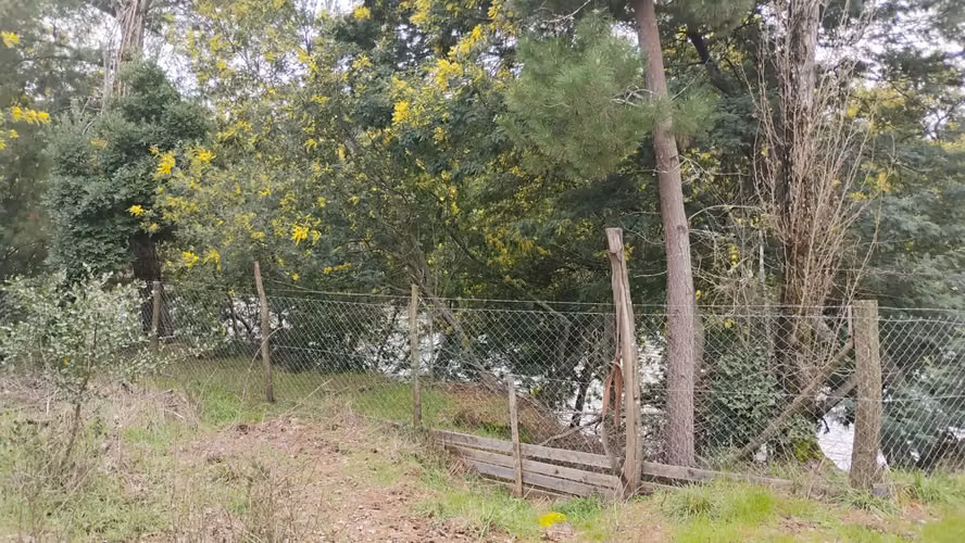 PARCELAS CON ORILLA DE RIO EN YUNGAY - Imagen 20