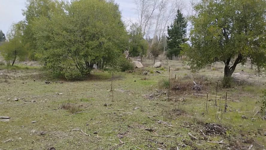 PARCELAS CON ORILLA DE RIO EN YUNGAY - Imagen 4
