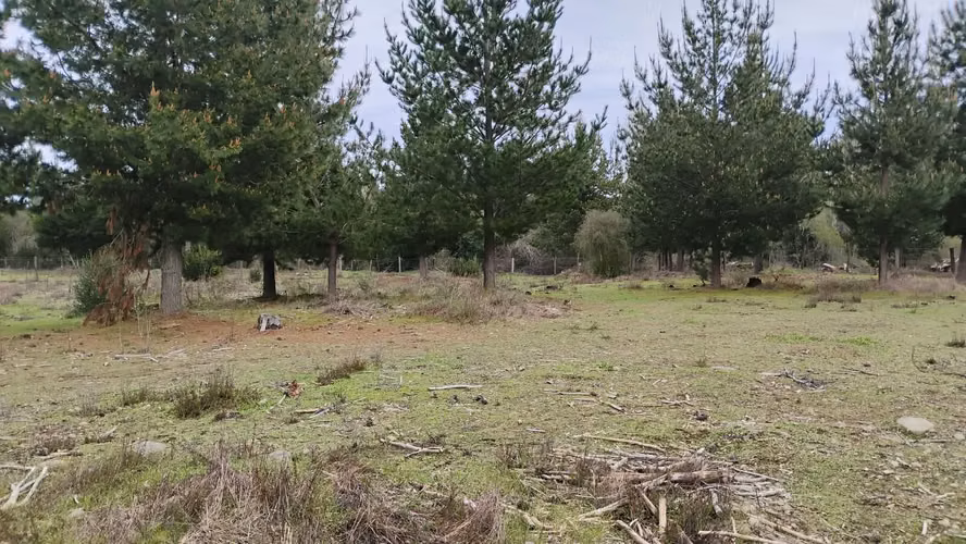 PARCELAS CON ORILLA DE RIO EN YUNGAY - Imagen 18