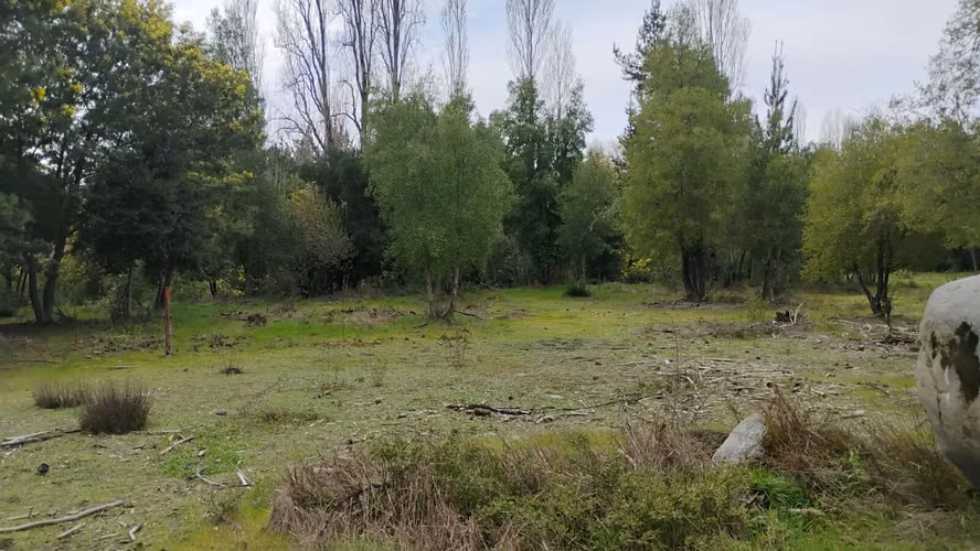 PARCELAS CON ORILLA DE RIO EN YUNGAY - Imagen 9