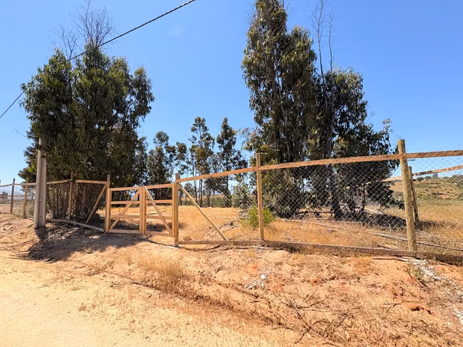 Venta de Terreno plano y extenso en venta Belloto norte - Imagen 2