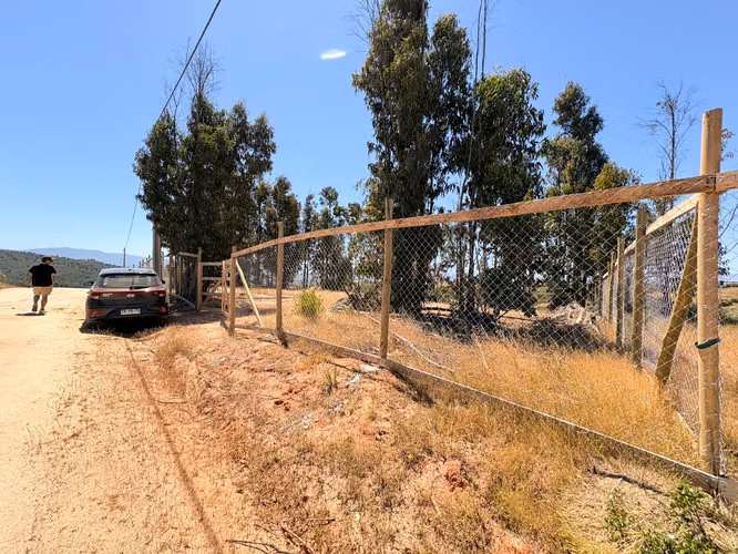 Venta de Terreno plano y extenso en venta Belloto norte - Imagen 3