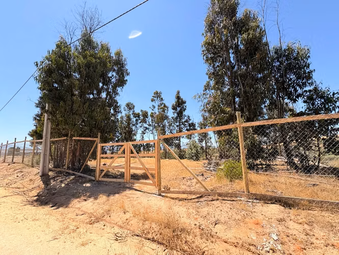 Venta de Terreno plano y extenso en venta Belloto norte - Imagen 4