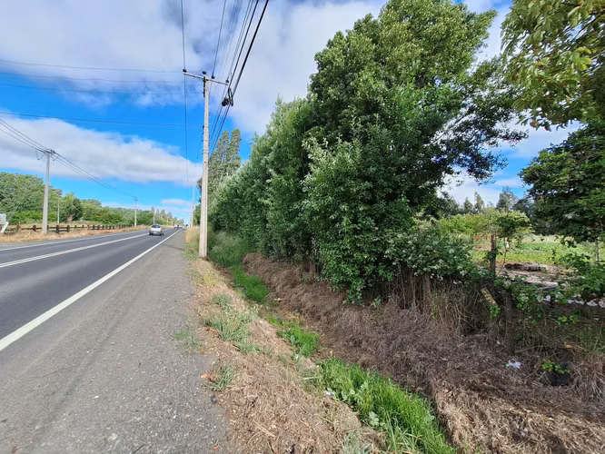 PARCELA A ORILLAS DE CARRETERA  EN LOS ÁNGELES - Imagen 9
