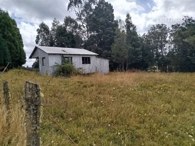 6.300 m a orilla de Ruta 5 Sur, con bosque nativo y río