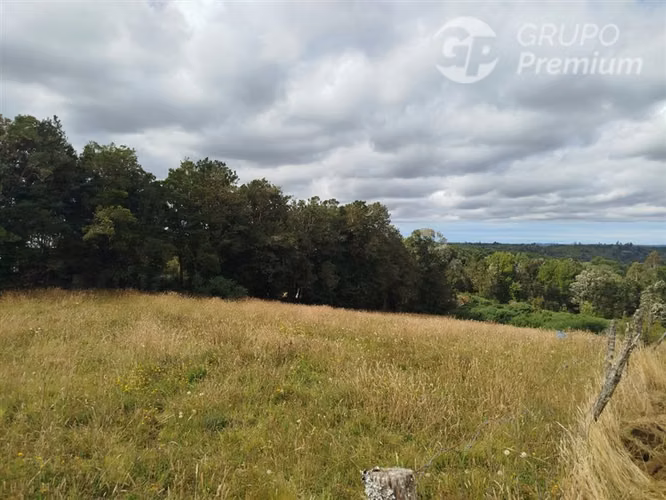 6.300 m a orilla de Ruta 5 Sur, con bosque nativo y río