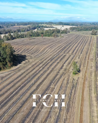 247 Hás Agricola y Ganadero - Imagen 5