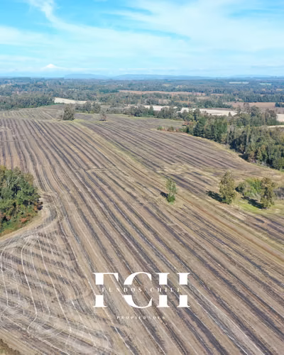 Se Vende 247 Hectáreas Agricola y Ganadero