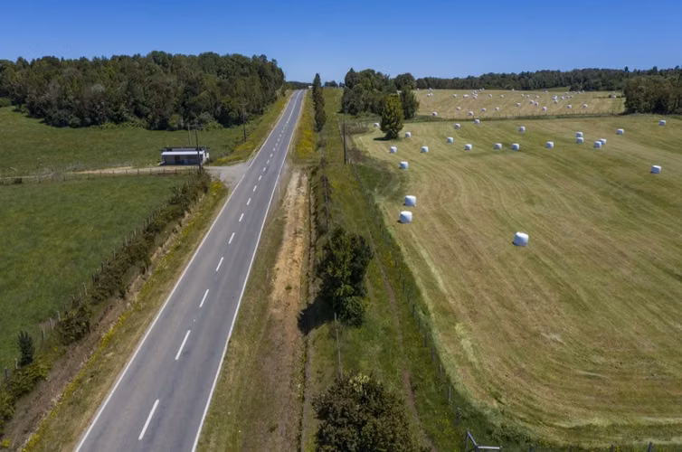 85 Parcelas Agrícolas En Lo Muermos (65.35 Has En Total) - Imagen 16