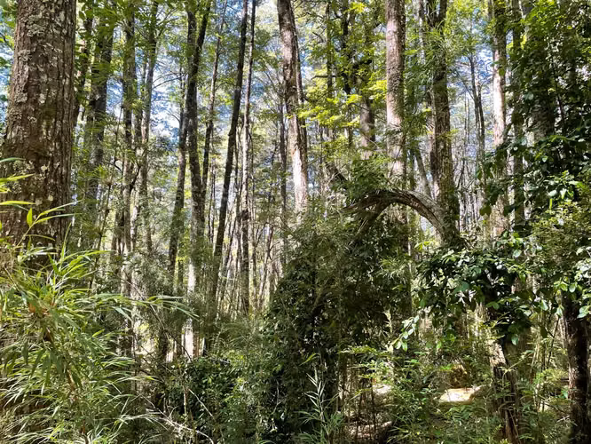 Terreno en Pucón
