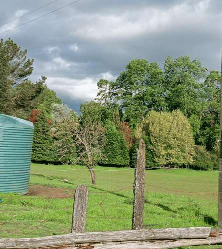 Parcela cercana a Lago Ranco