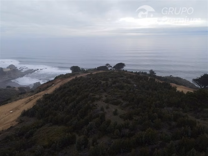 Parcela en venta en Pichilemu - Imagen 7