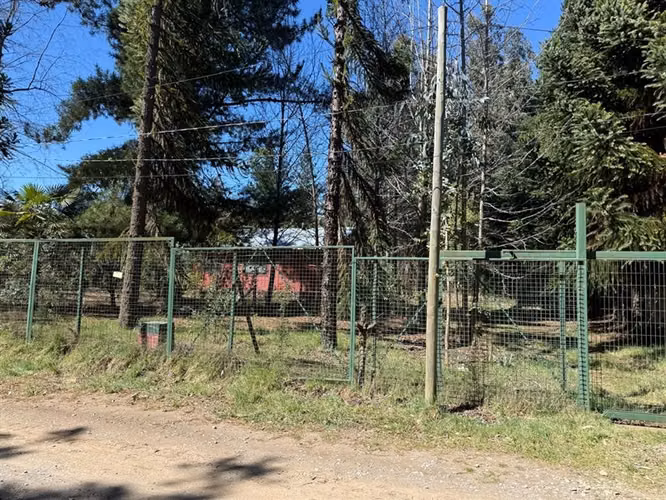 Se vende cabaña regularizada y con agua potable en Vilches - Imagen 4