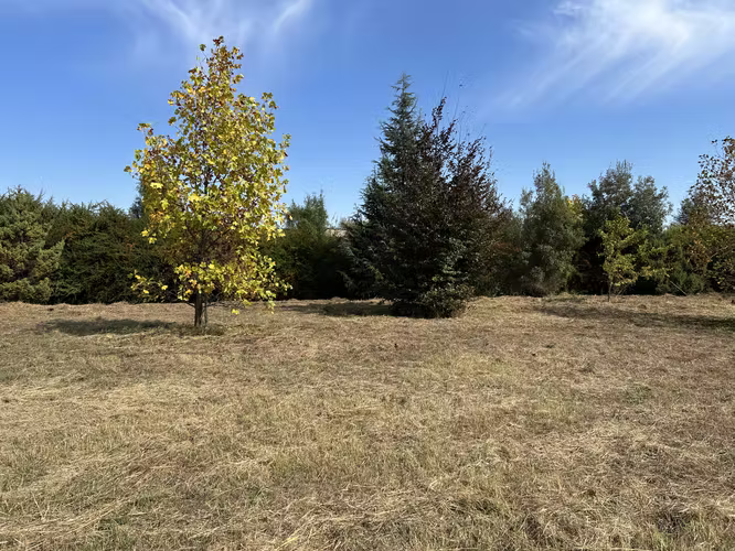 SE VENDE HERMOSO TERRENO  EN LOMAS DE 7 RIOS - Imagen 5