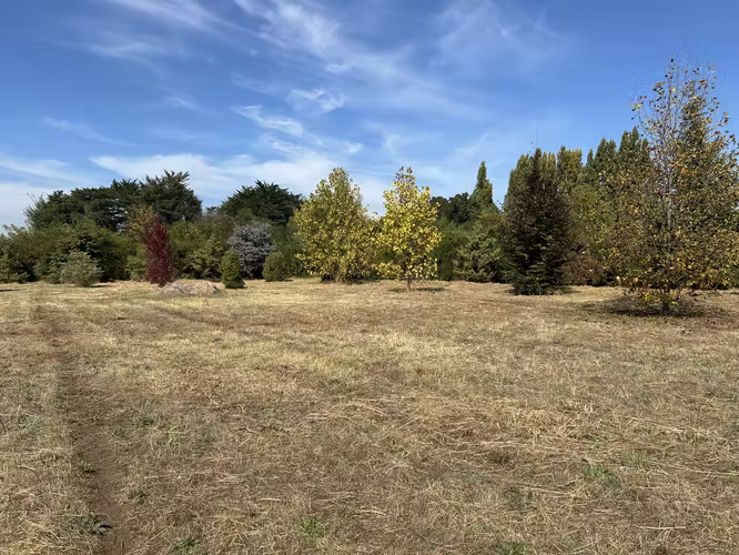 SE VENDE HERMOSO TERRENO  EN LOMAS DE 7 RIOS - Imagen 2
