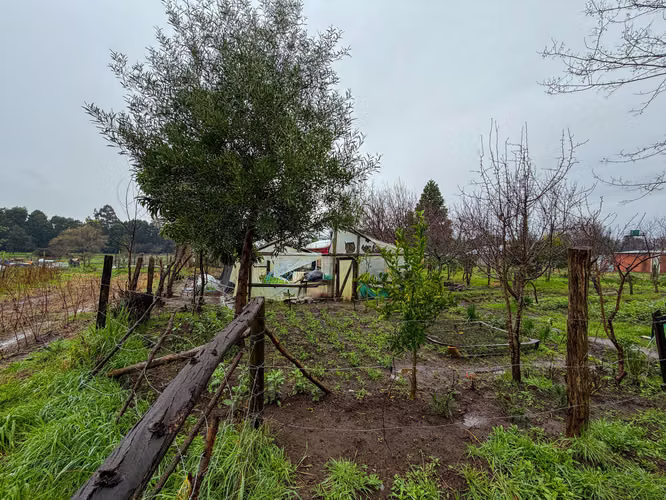 Hermosa Parcela en Bulnes Ocación - Imagen 15