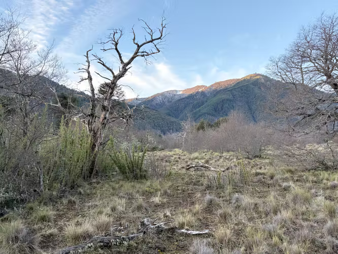 VENTA  PARCELA CON ORILLA RIO 10200 M2 MALALCAHUELLO - Imagen 7