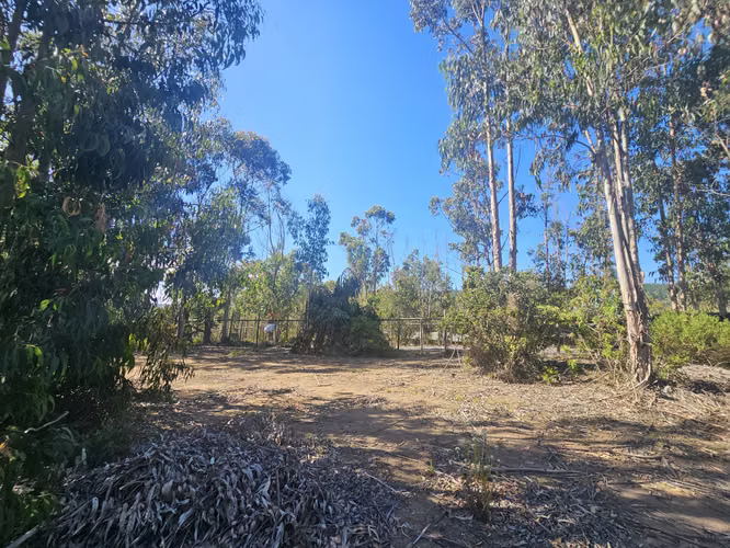 VENTA PARCELA 5075 MT  EN TUNQUEN ALGARROBO - Imagen 7