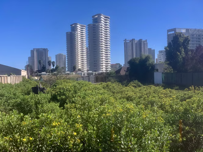 VENTA  EXCELENTE TERRENO LOS PINOS REÑACA - Imagen 8