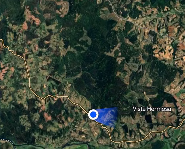 CAMPO DE 4 HECTÁREAS CON EUCALIPTOS  EN LA UNIÓN - Imagen 19