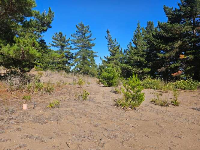 Punta Puertecillo, terreno con vista al mar de 5.600 m2. Exclusivo