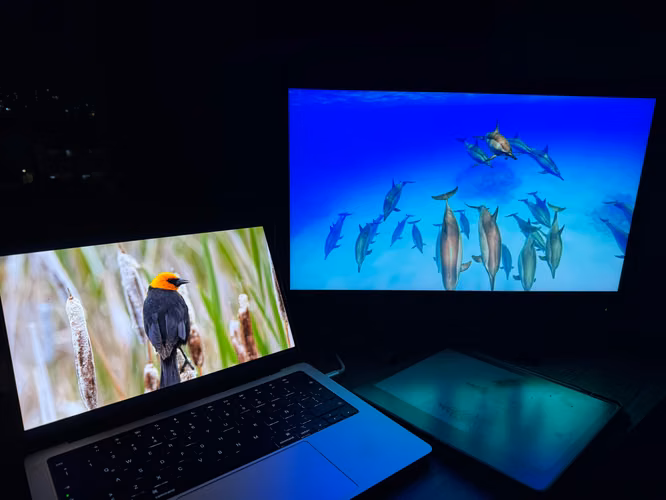 Monitor LCD