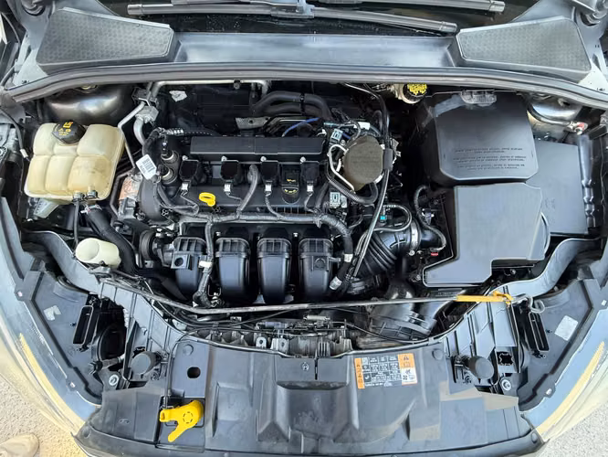 FORD FOCUS  2016