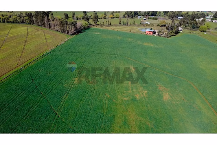 Oportunidad inversión agroind 21,5 ha talca