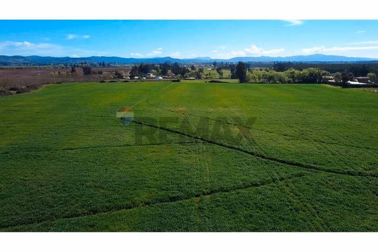 Oportunidad inversión agroind 21,5 ha talca