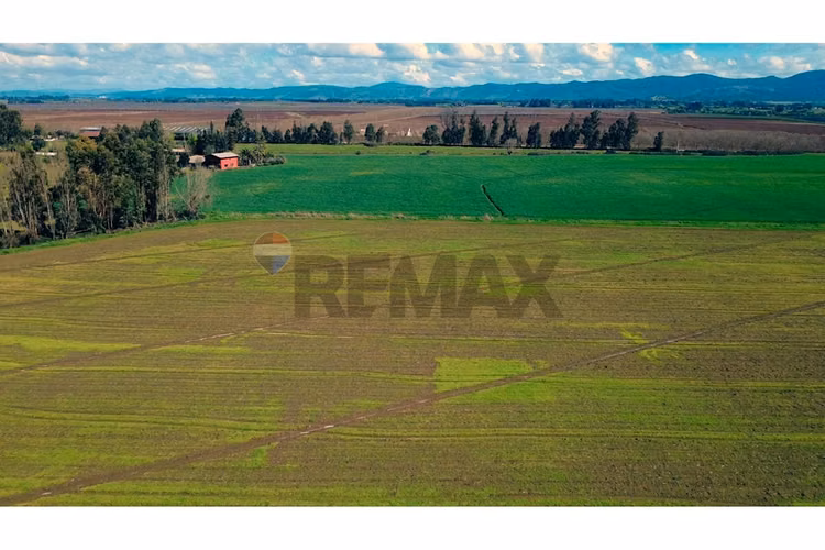 Oportunidad inversión agroind 21,5 ha talca