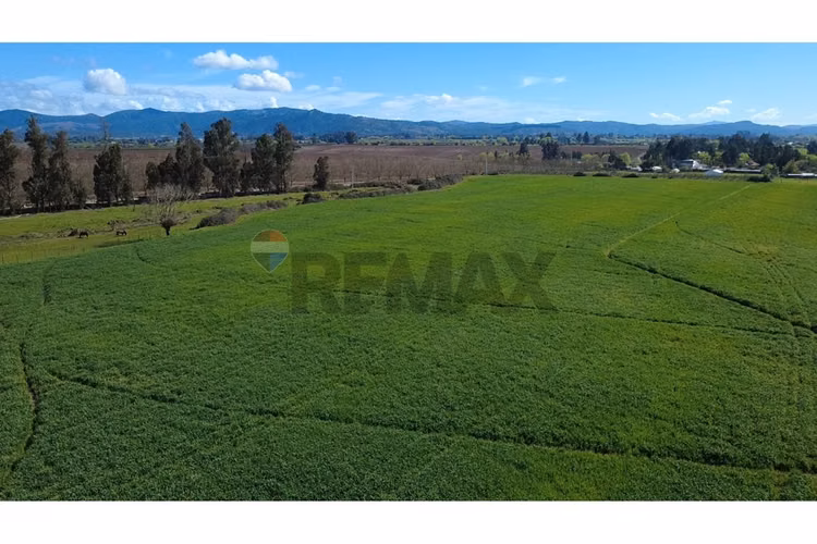 Oportunidad inversión agroind 21,5 ha talca