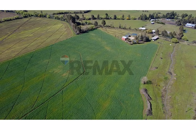 Oportunidad inversión agroind 21,5 ha talca