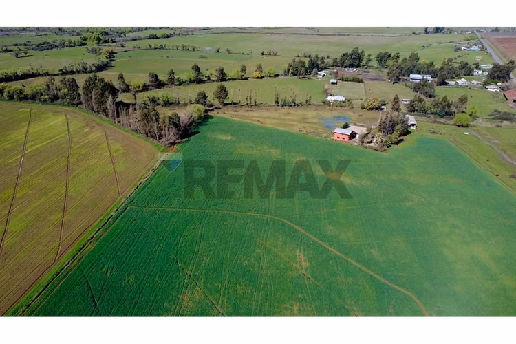 Oportunidad inversión agroind 21,5 ha talca