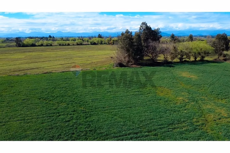 Oportunidad inversión agroind 21,5 ha talca